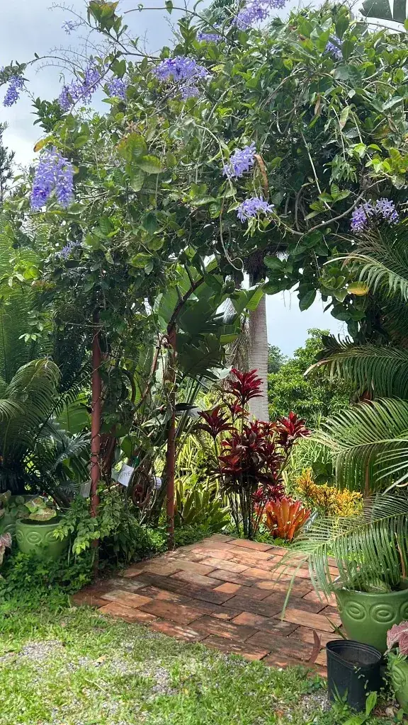 Purple-flowering archway over a brick garden path