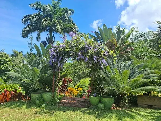 Flowering archway framing the tropical gardens at Paradise Valley