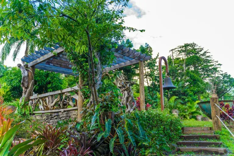 Lush nursery grounds at Paradise Valley